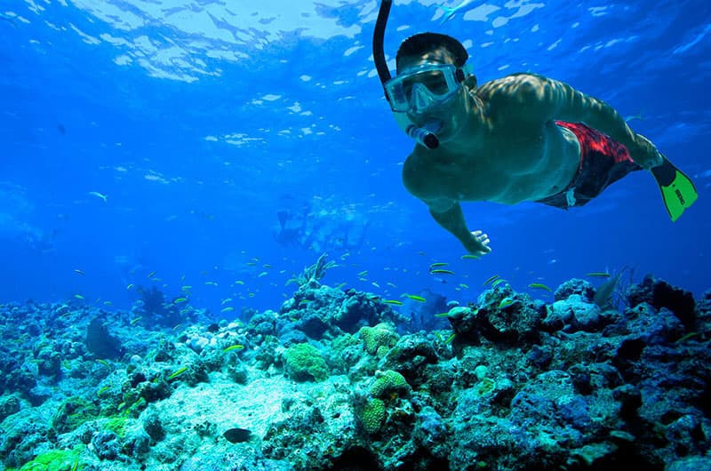 Snorkeling Trip to Tiran Island